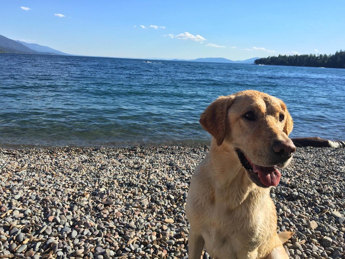 Flathead Lake Resort Woods Bay Buitenkant foto